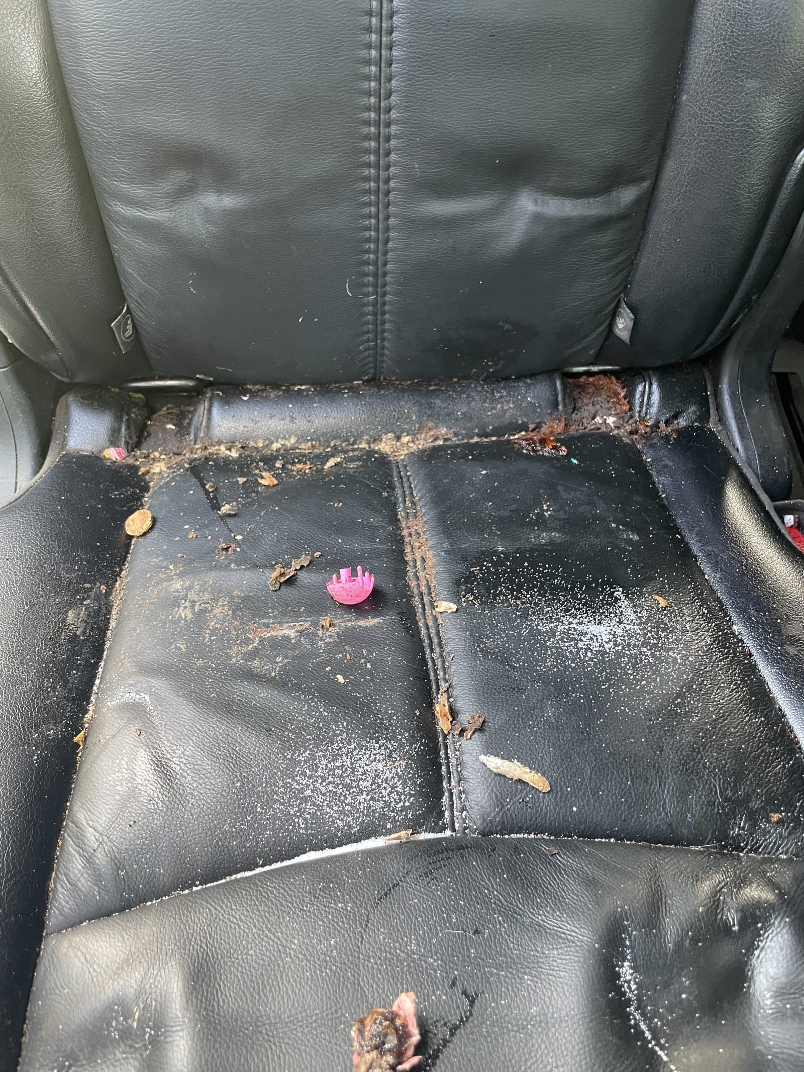 Car seat before detailing — heavily soiled leather